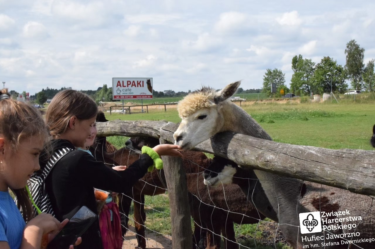 Czuj, czuj, czuwaj! ⚜️

Nadrabiamy zaległości z koloni zuchowej w Siamoszycach! ⛺

Podczas kolejnych dni koloni zuchy mi (6/10)