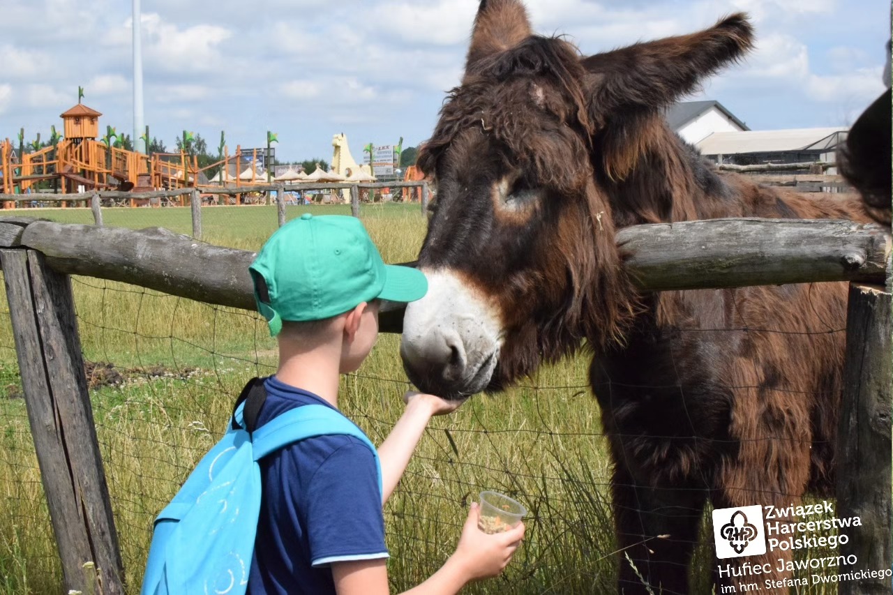 Czuj, czuj, czuwaj! ⚜️

Nadrabiamy zaległości z koloni zuchowej w Siamoszycach! ⛺

Podczas kolejnych dni koloni zuchy mi (9/10)